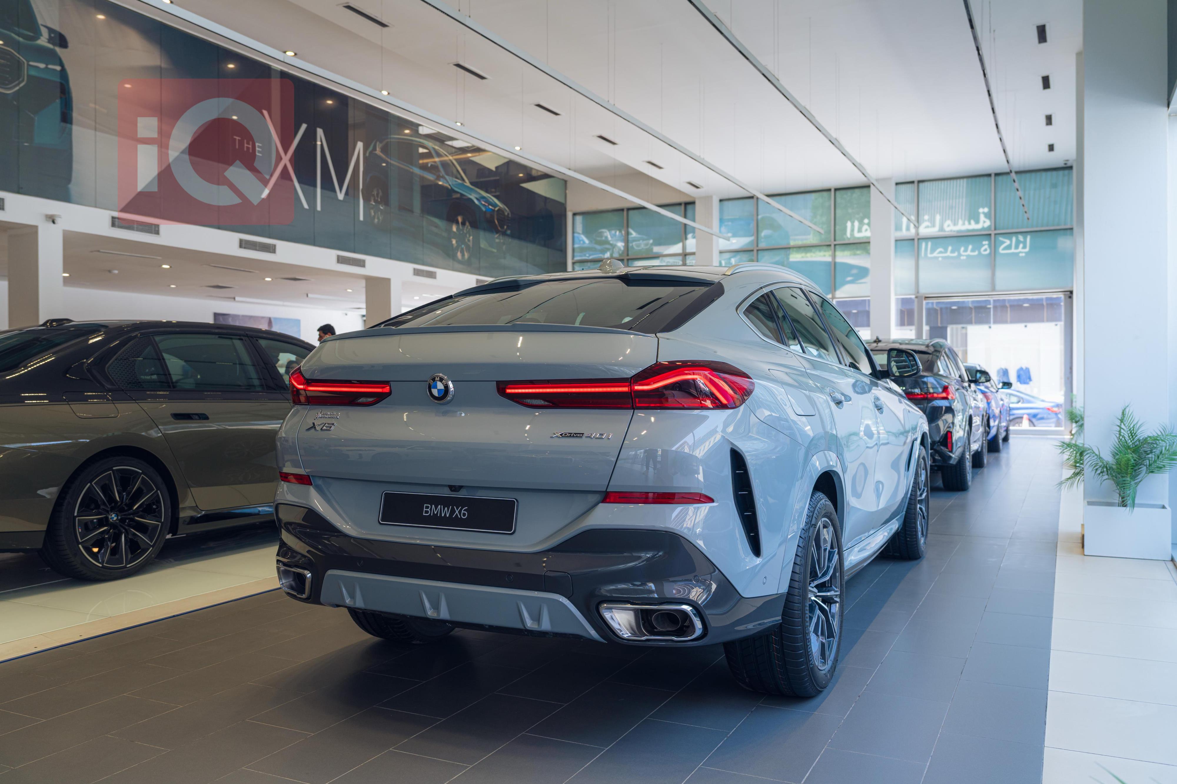 BMW X6